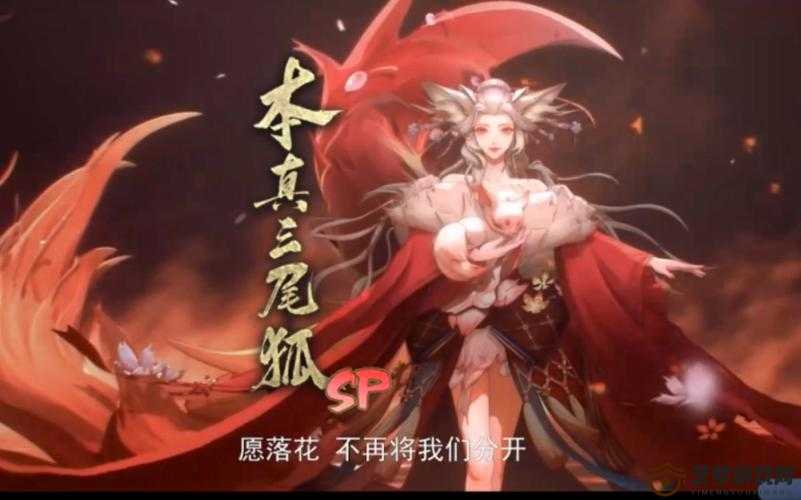 阴阳师揭秘，樱花树下的红色之谜与三尾狐悬赏刷新地